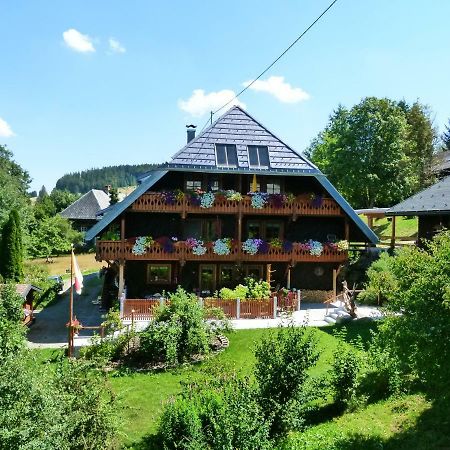 Ferienwohnungen Panoramablick Bernau im Schwarzwald Dış mekan fotoğraf